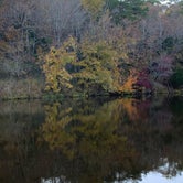 Review photo of Robbers Cave State Park — Robbers Cave State Resort Park by Neil T., November 6, 2020