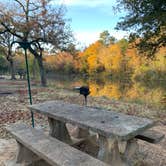 Review photo of Robbers Cave State Park — Robbers Cave State Resort Park by Neil T., November 6, 2020