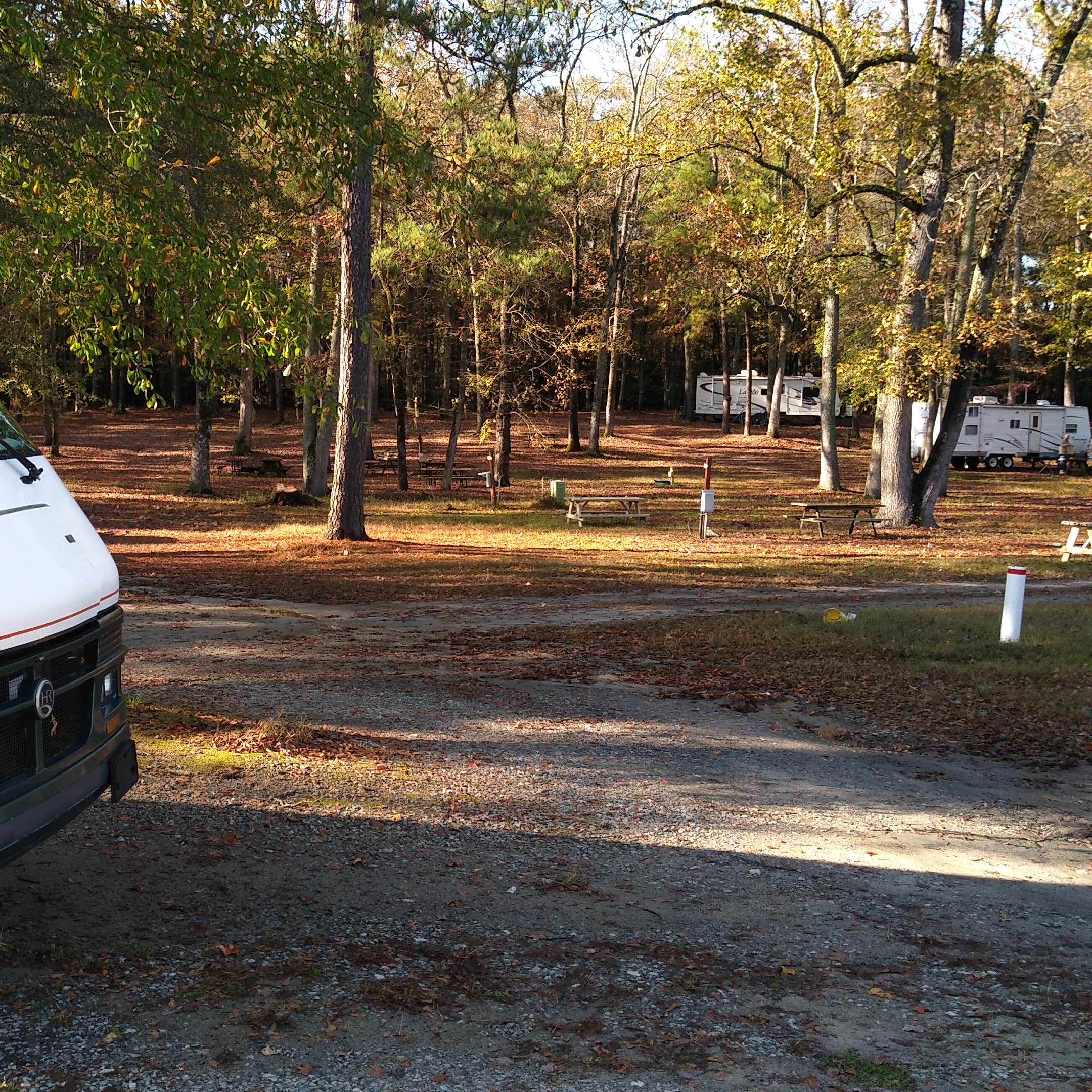 South Forty RV Resort & Campground | Petersburg, Virginia