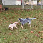 Review photo of Corbin - Laurel Lake KOA by Shelly S., November 6, 2020
