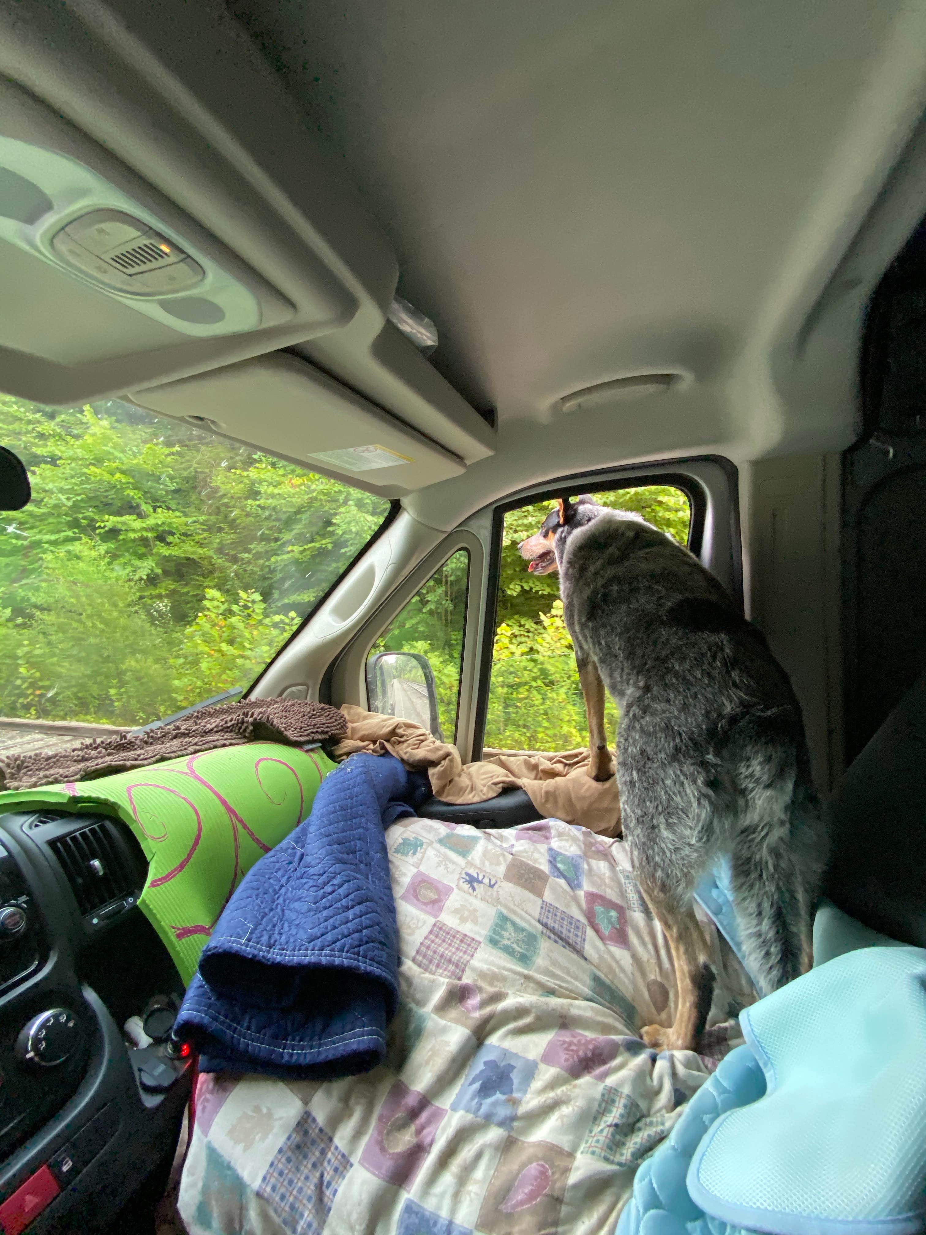 Shelly S.'s photo of camping with pets at Blue Heron Campground near Lake Cumberland