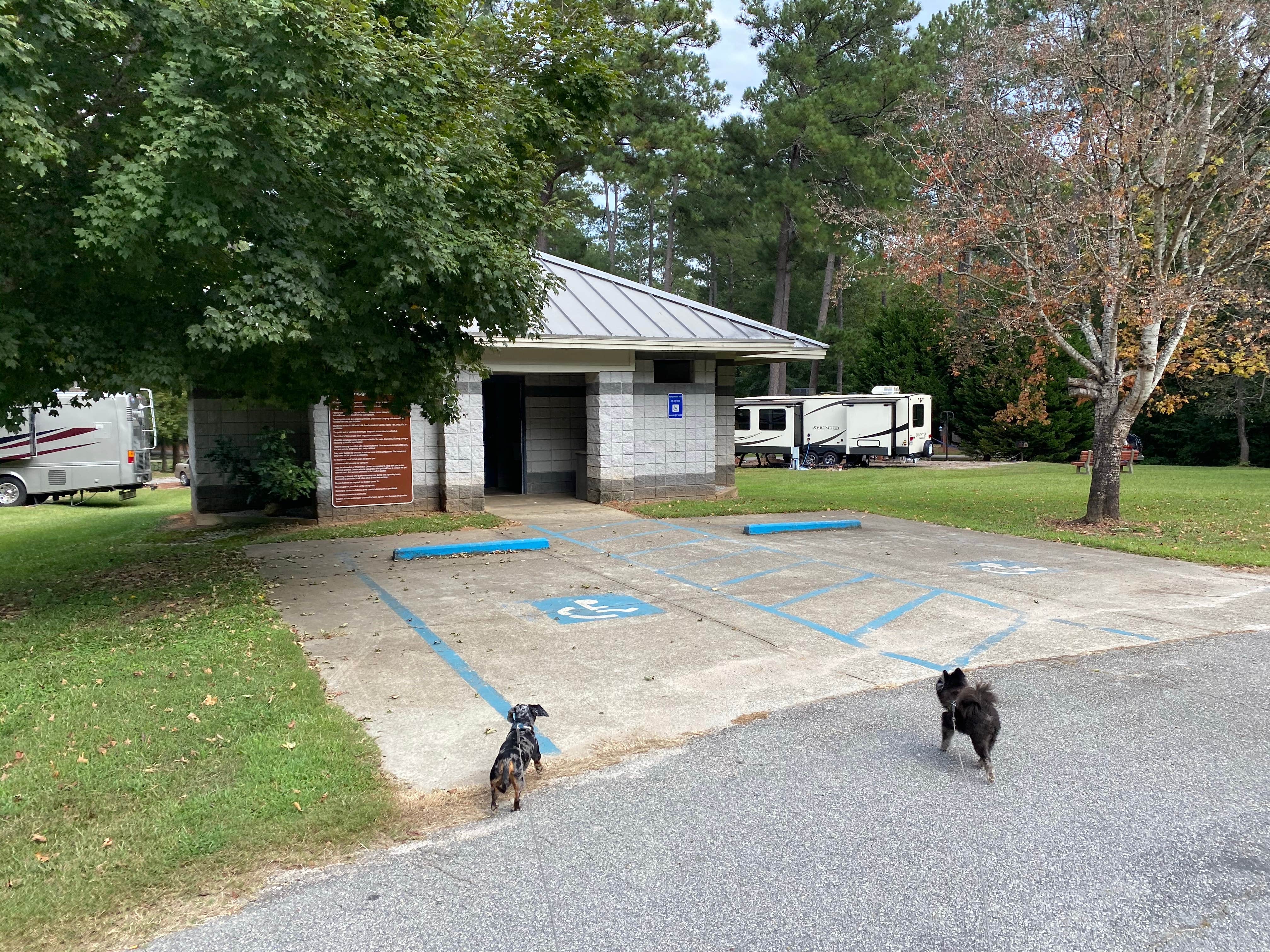 Shelly S.'s photo of camping with pets at High Falls State Park Campground near Lizella, GA