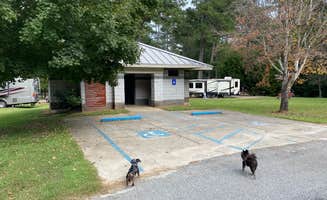 Shelly S.'s photo of camping with pets at High Falls State Park Campground near Conley, GA