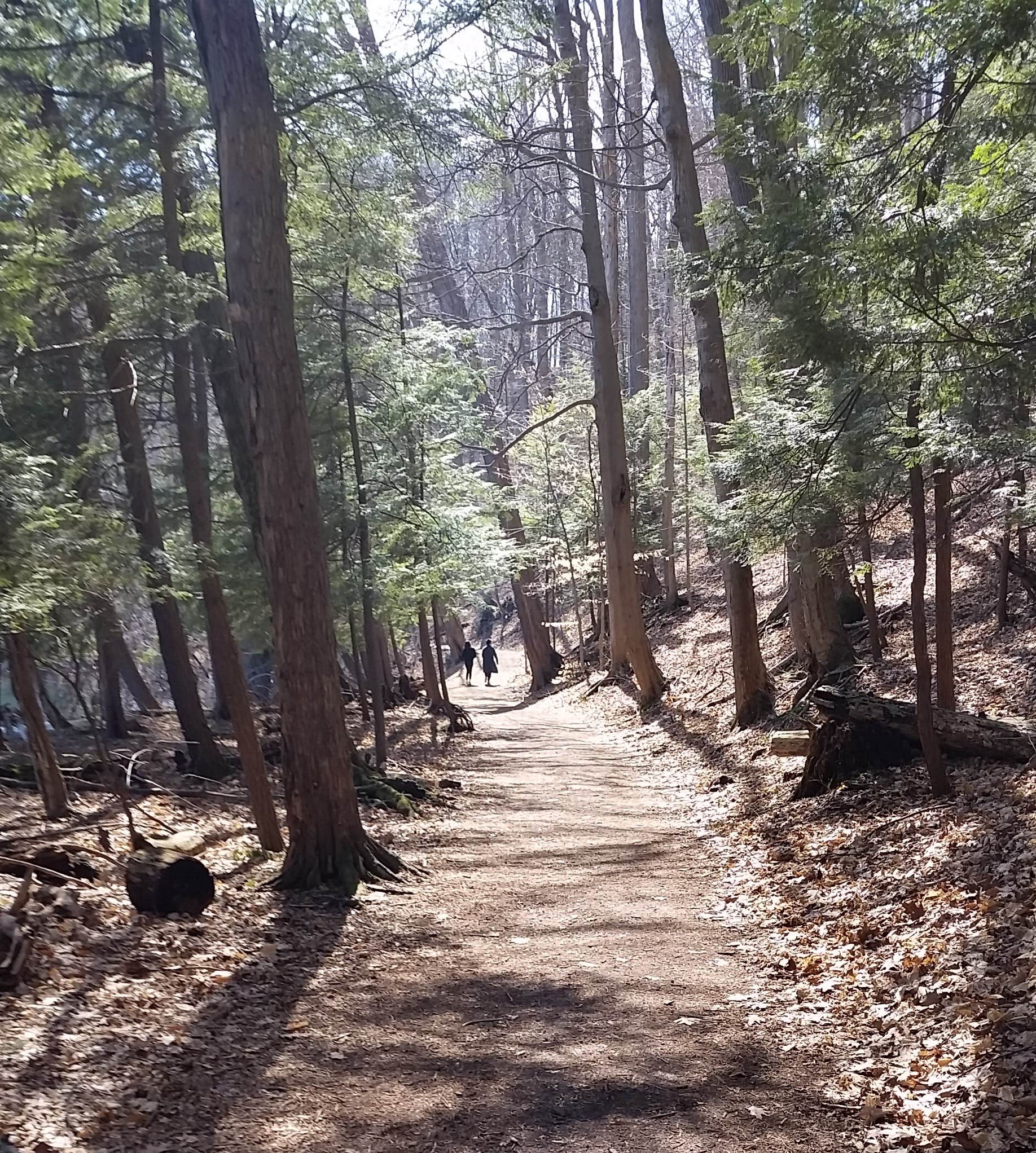 Camper submitted image from Green Lakes State Park Campground - 4