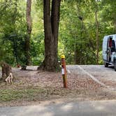 Review photo of High Falls State Park Campground by Shelly S., November 6, 2020