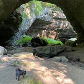 Review photo of Maquoketa Caves State Park Campground by Shelly S., November 6, 2020