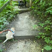 Review photo of Maquoketa Caves State Park Campground by Shelly S., November 6, 2020