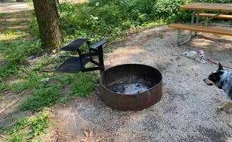 Shelly S.'s photo of camping with pets at Maquoketa Caves State Park Campground near Wheatland, IA