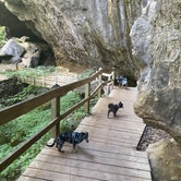 Review photo of Maquoketa Caves State Park Campground by Shelly S., November 6, 2020