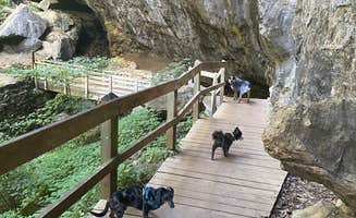 Shelly S.'s photo of camping with pets at Maquoketa Caves State Park Campground near La Motte, IA