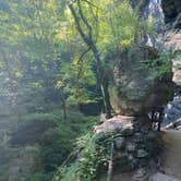 Review photo of Maquoketa Caves State Park Campground by Shelly S., November 6, 2020