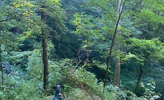 Shelly S.'s photo of camping with pets at Maquoketa Caves State Park Campground near Hanover, IL