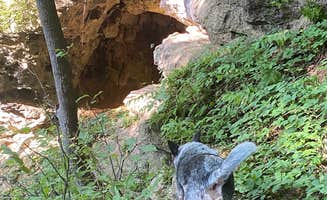 Shelly S.'s photo of camping with pets at Maquoketa Caves State Park Campground near Hanover, IL