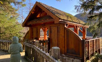 Phinneaus B.'s photo of a cabin at Starrigavan Campsites near Tenakee Springs, AK