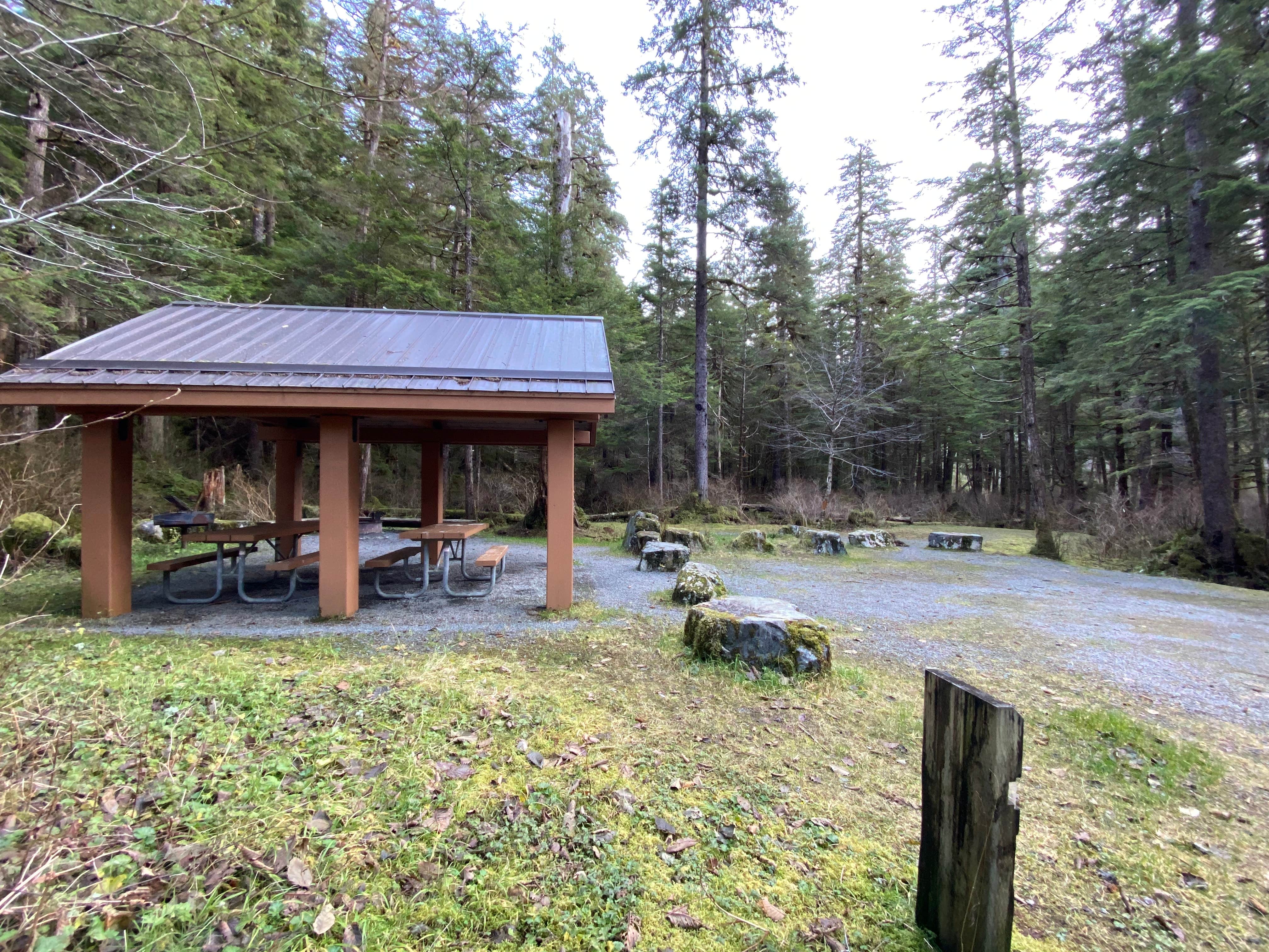 Camper submitted image from Starrigavan Campsites - 3