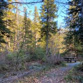 Review photo of Starrigavan Campsites by Phinneaus B., November 6, 2020