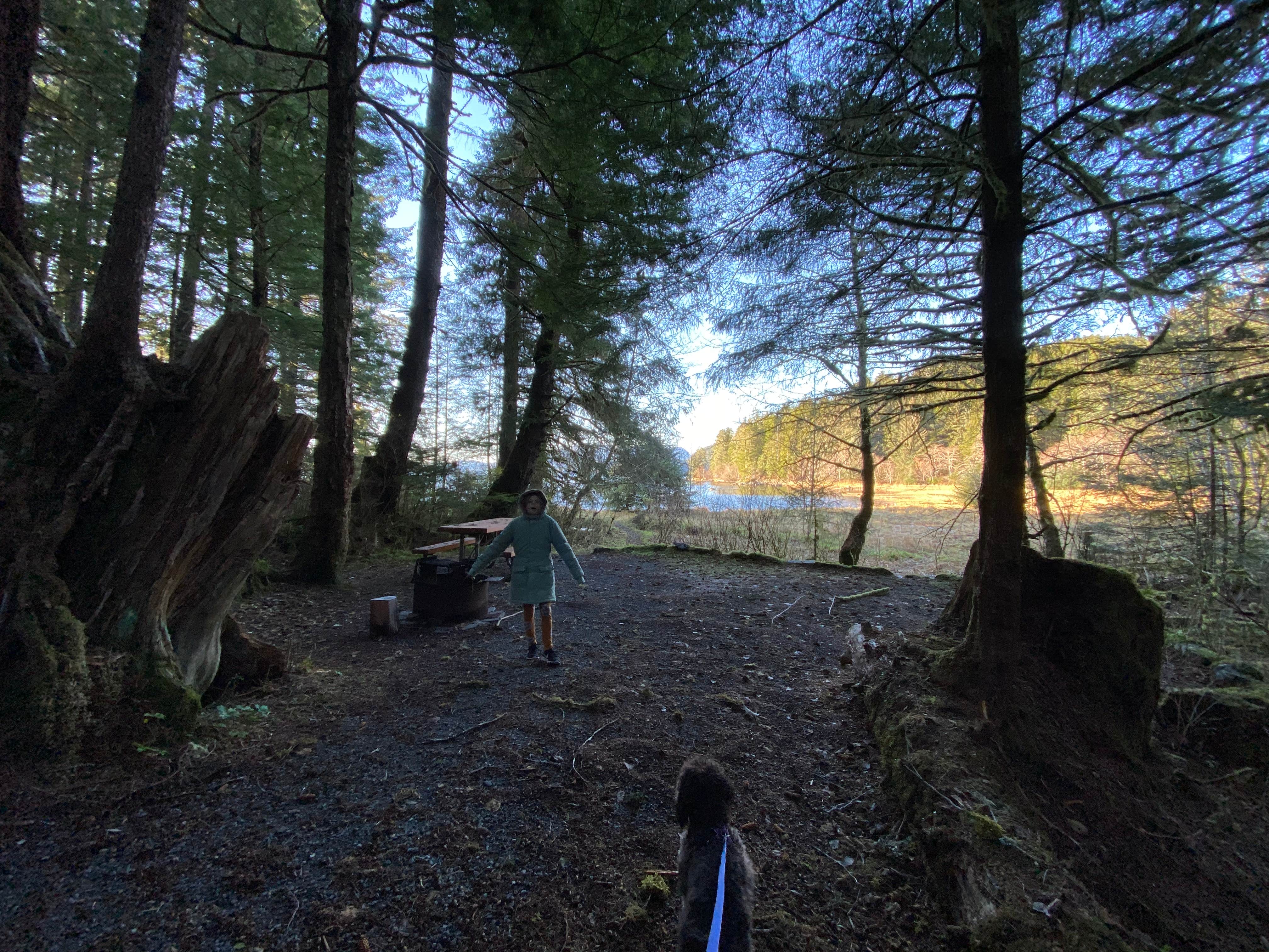 Phinneaus B.'s photo at Starrigavan Campsites near Tenakee Springs, AK