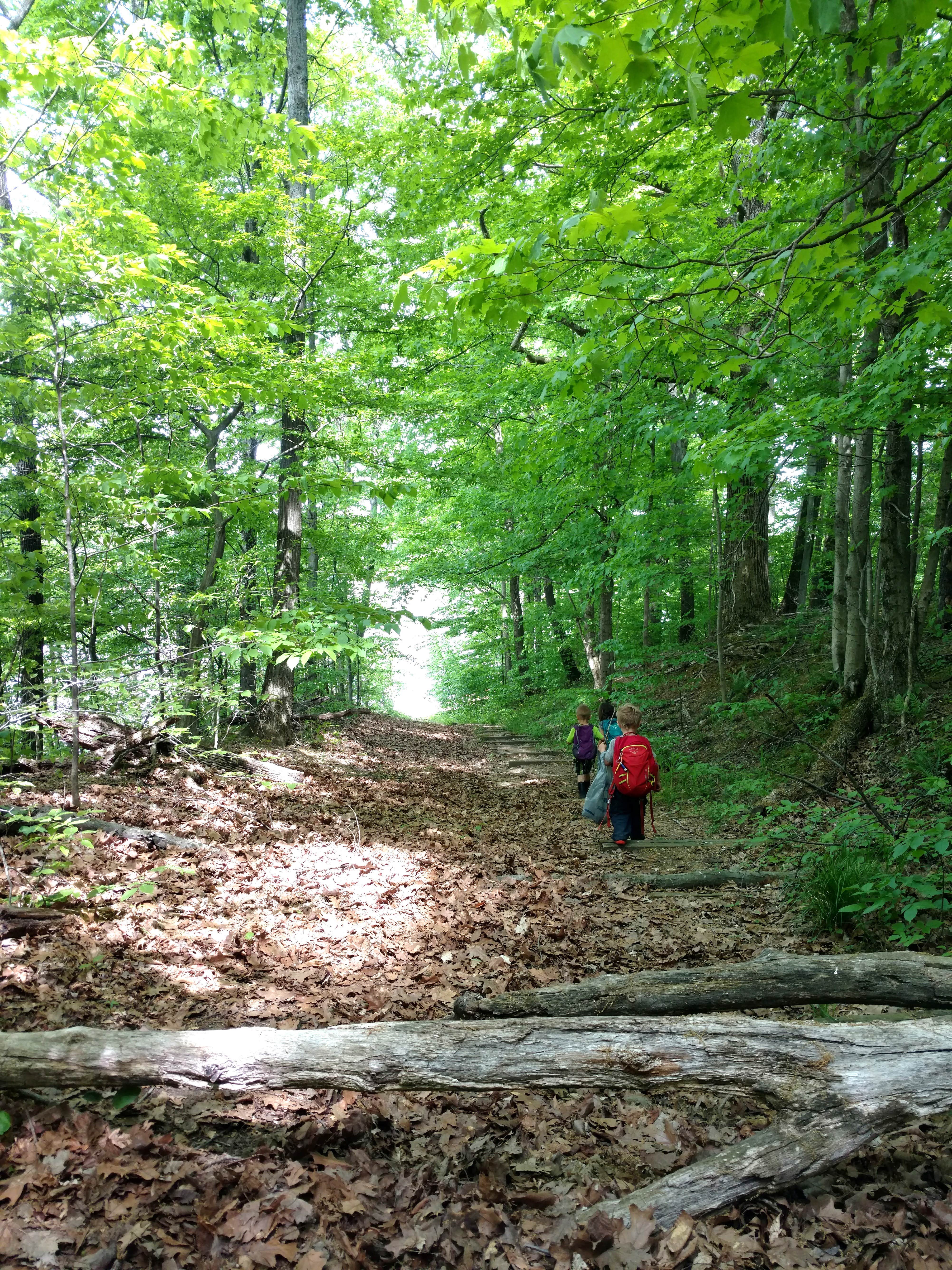 Camper submitted image from Cecil M Harden Lake Raccoon State Recreation Area - 3