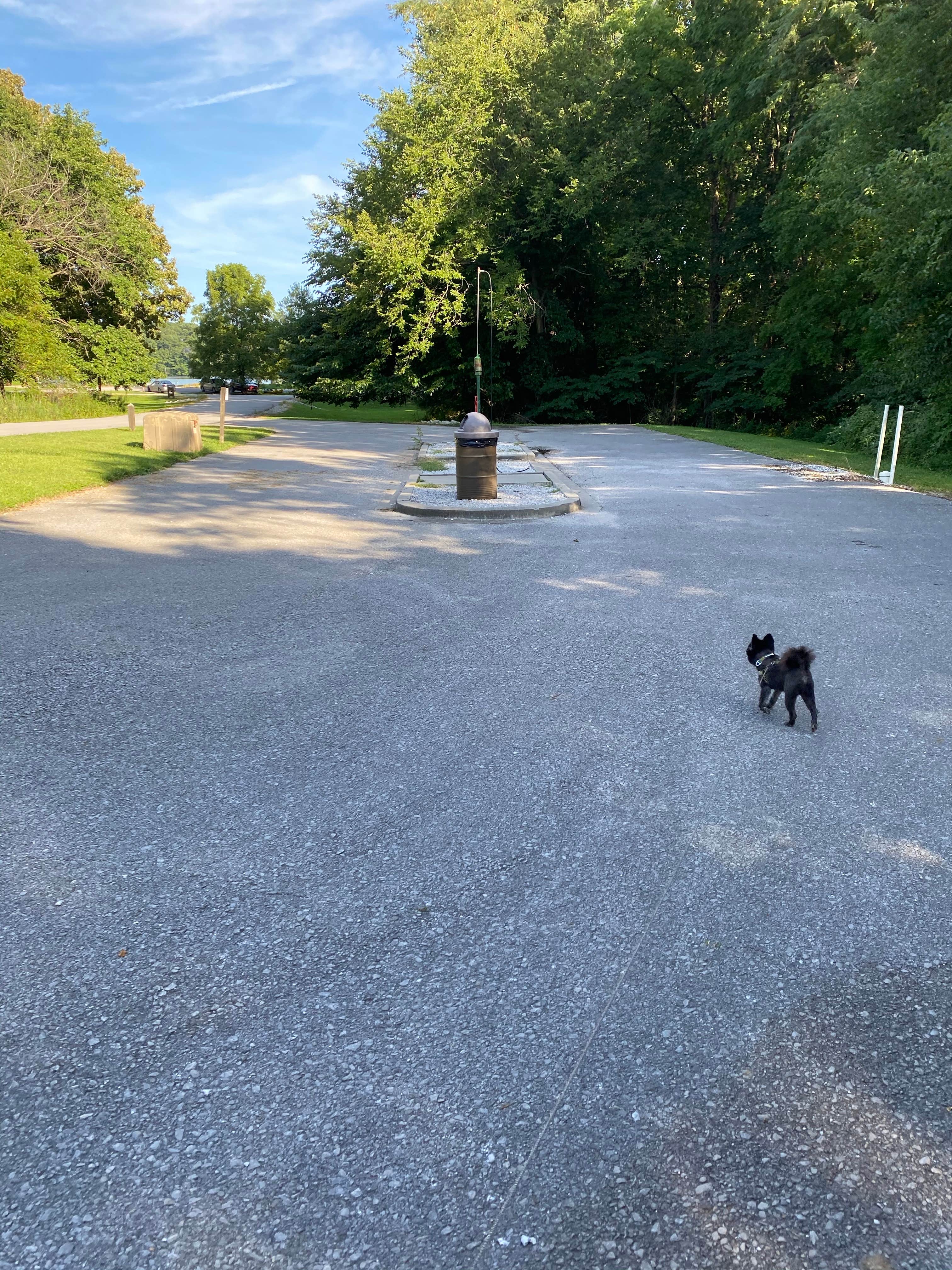 Camper-submitted photo at Beaver Dam State Park Campground near St. Ann, MO