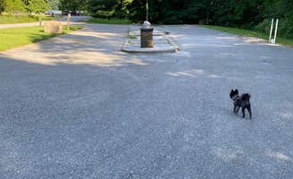 Shelly S.'s photo of camping with pets at Beaver Dam State Park Campground near Alton, IL