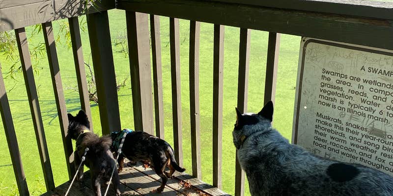 Camper submitted image from Beaver Dam State Park Campground