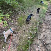 Review photo of Beaver Dam State Park Campground by Shelly S., November 6, 2020