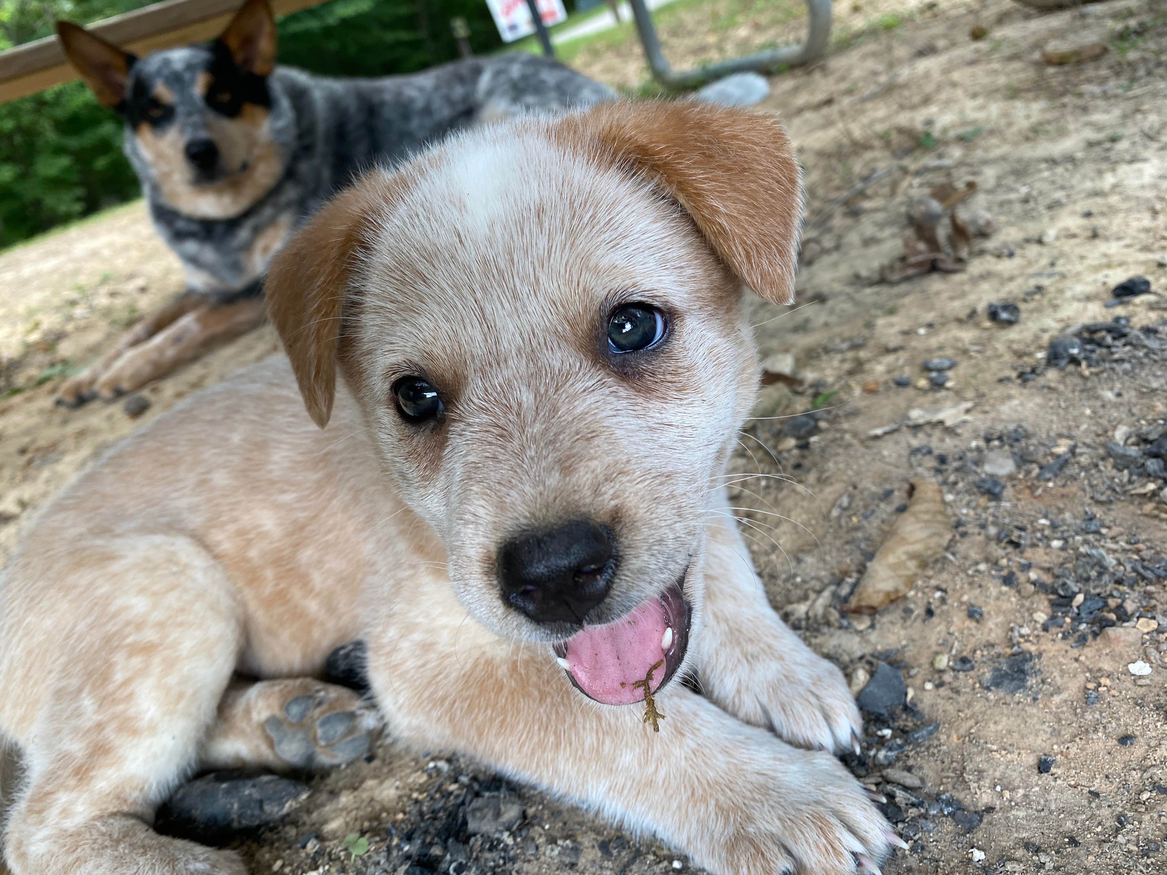 Camper-submitted photo at Barren River Lake Resort Lodge & Cottages — Barren River Lake State Resort Park near Horse Cave, KY
