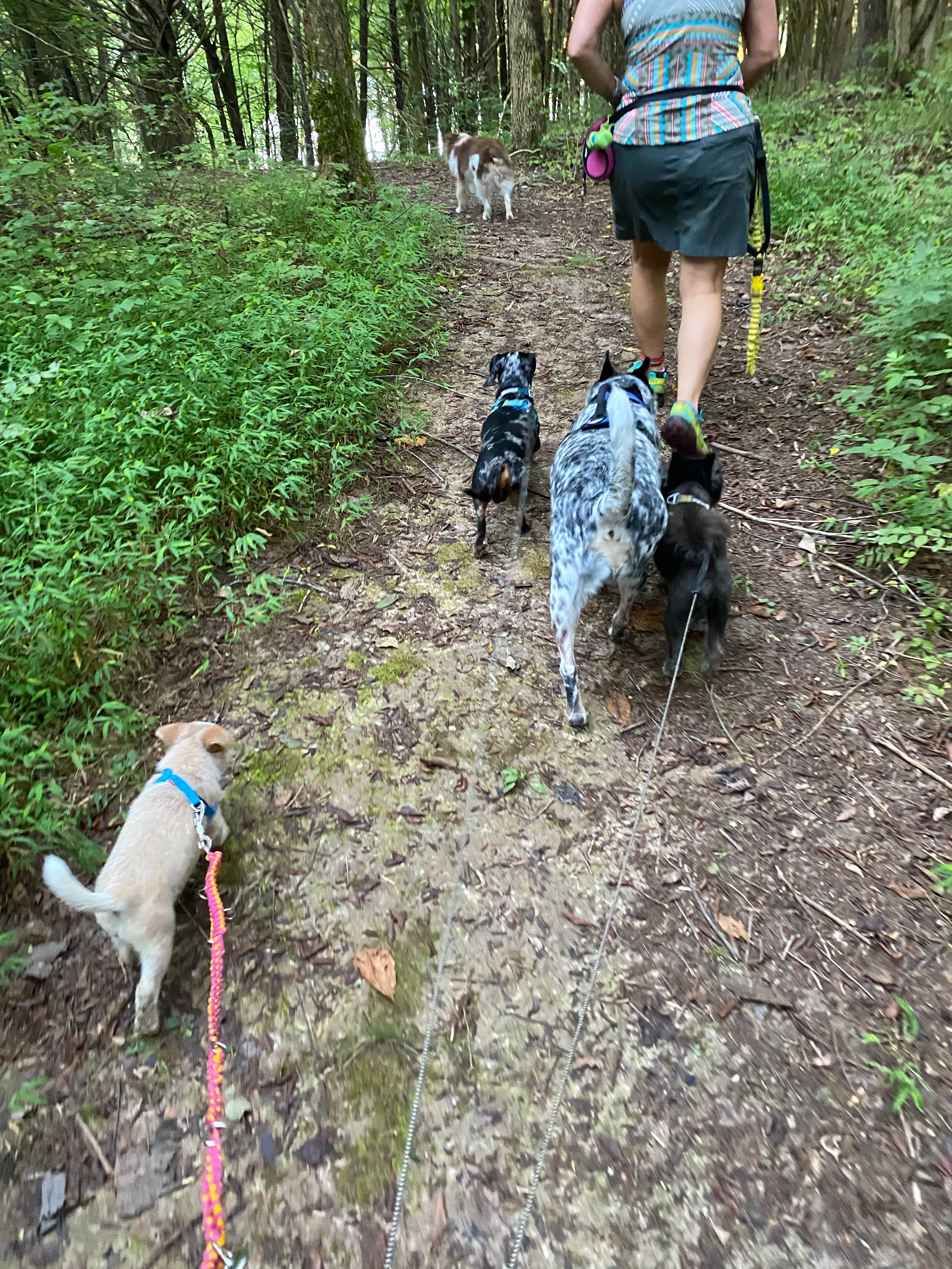 Camper-submitted photo at Barren River Lake Resort Lodge & Cottages — Barren River Lake State Resort Park near Horse Cave, KY