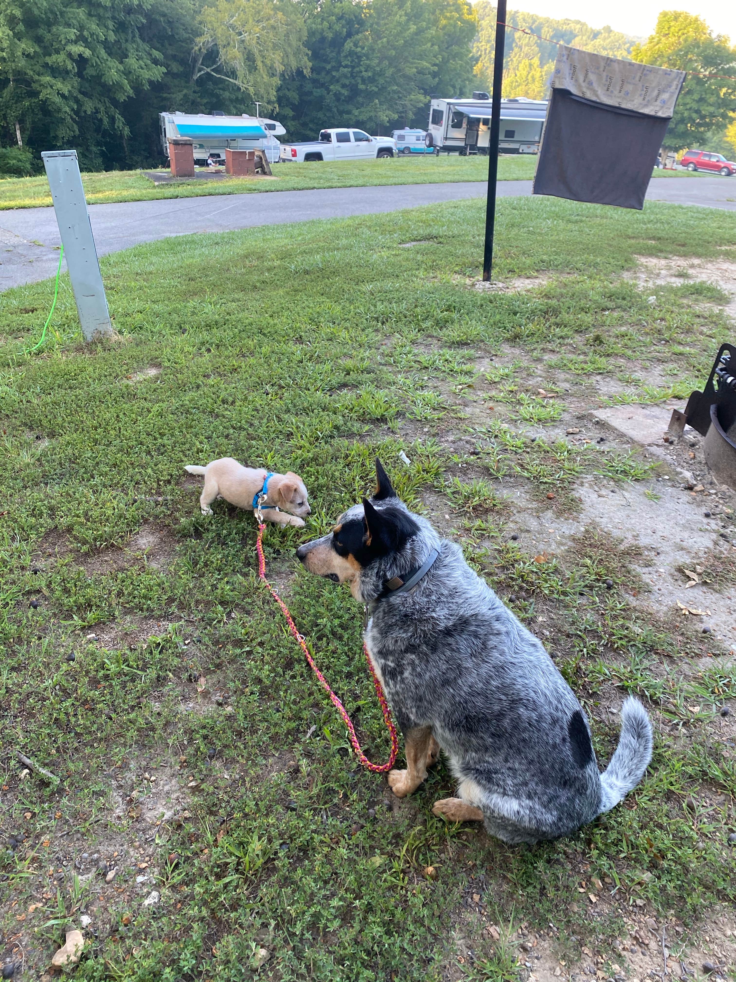 Camper-submitted photo at Barren River Lake Resort Lodge & Cottages — Barren River Lake State Resort Park near Horse Cave, KY