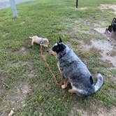 Review photo of Barren River Lake Resort Lodge & Cottages — Barren River Lake State Resort Park by Shelly S., November 6, 2020