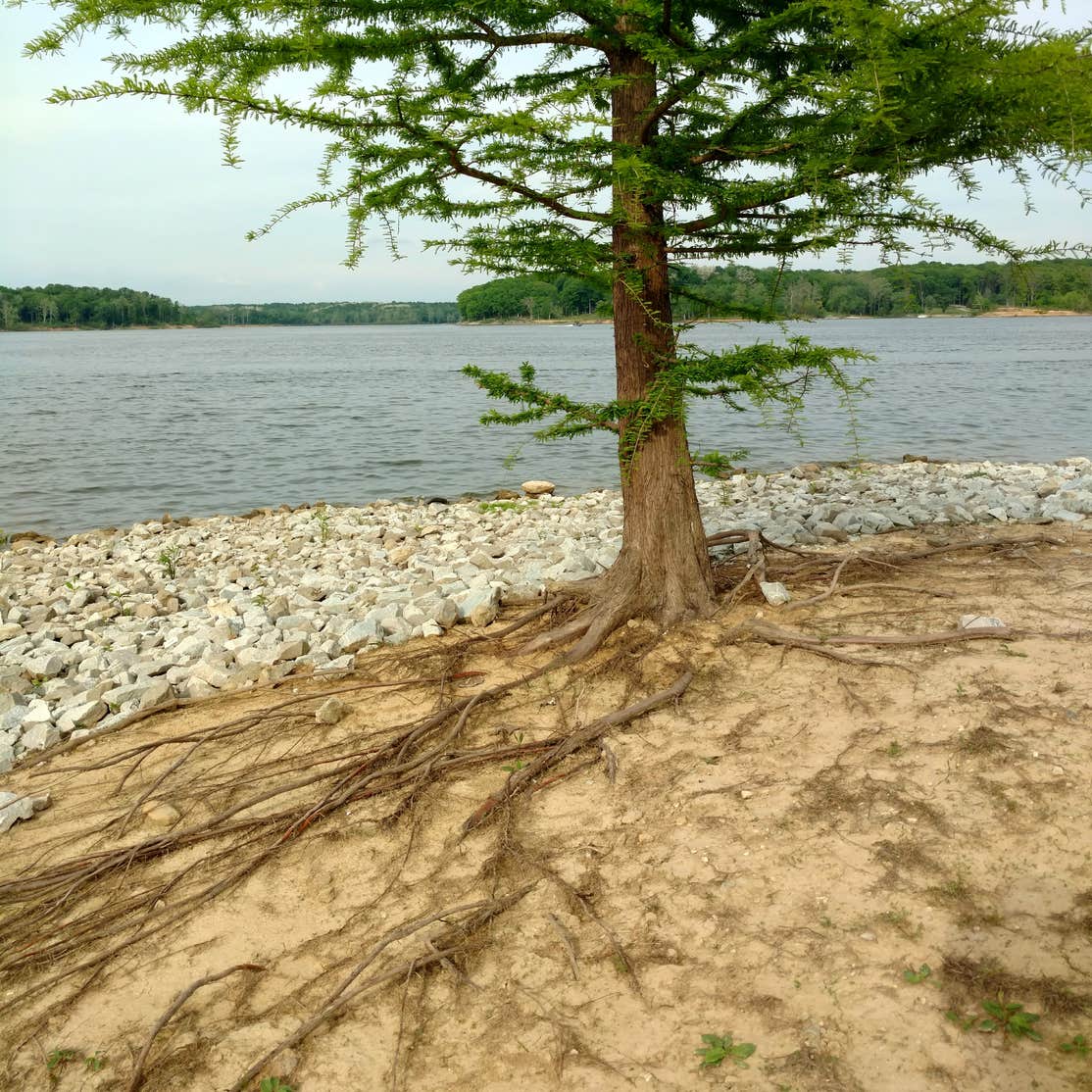 Cecil M Harden Lake Raccoon State Recreation Area Camping Rockville