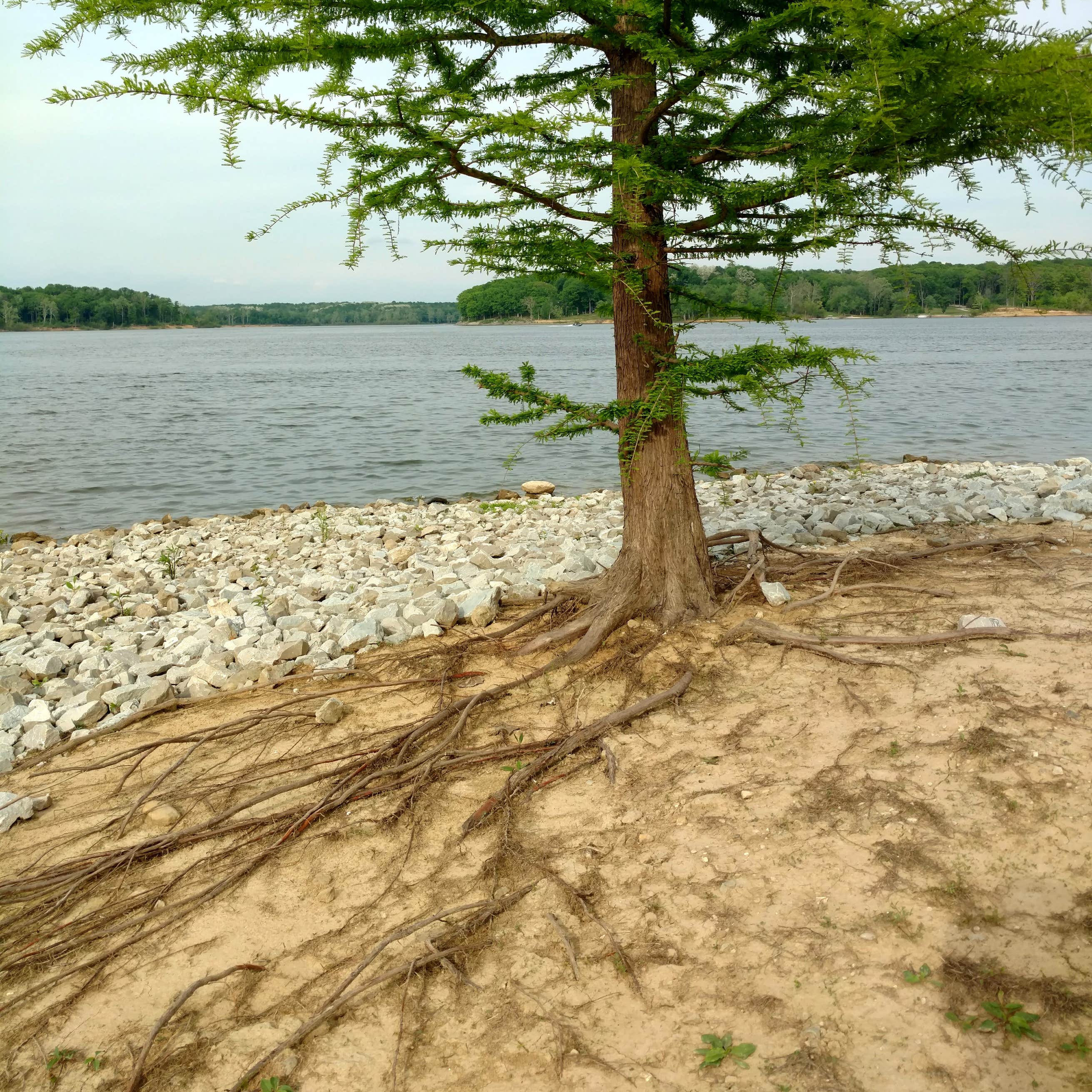 Cecil M Harden Lake Raccoon State Recreation Area Camping The Dyrt
