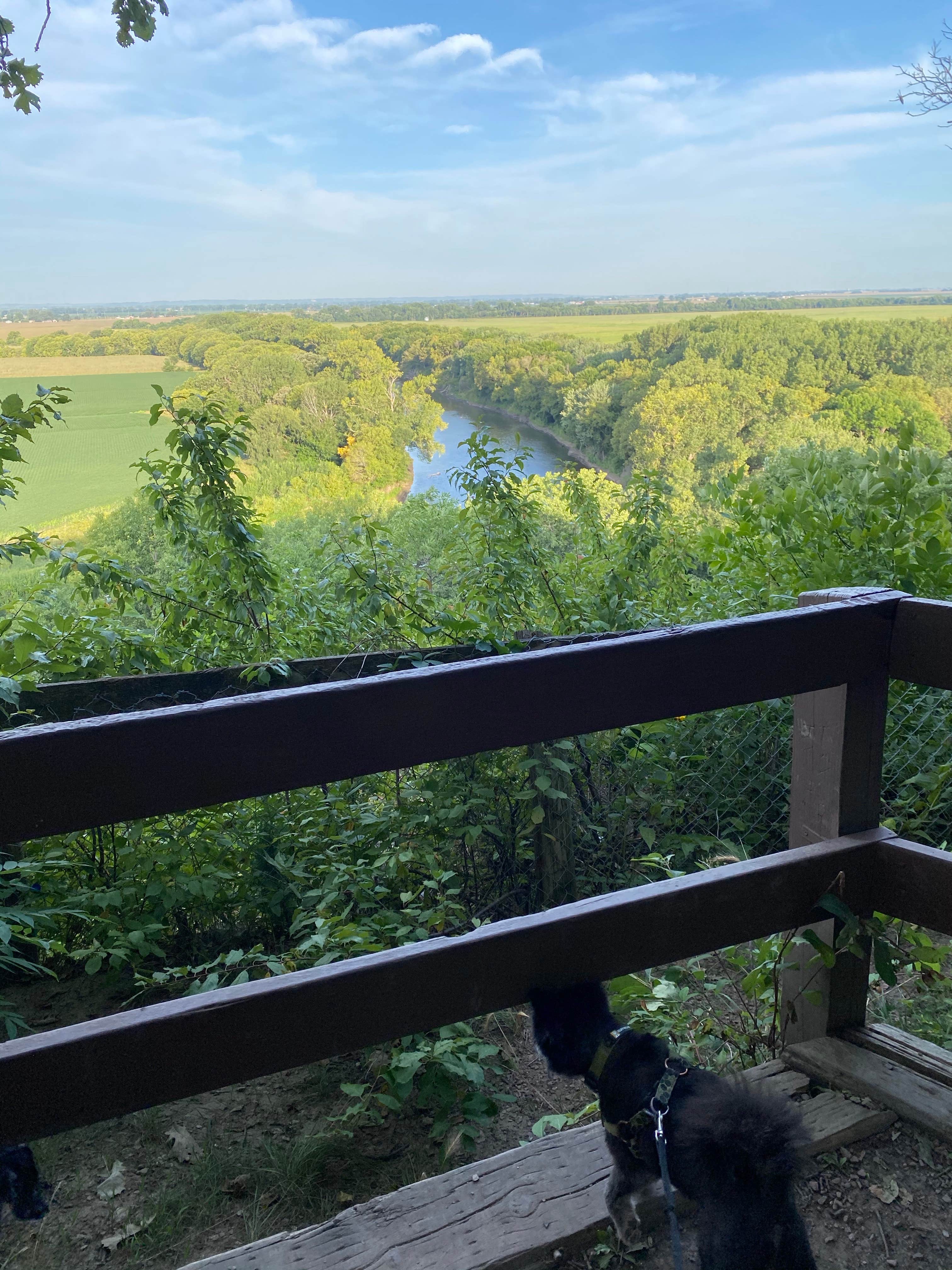 Shelly S.'s photo of camping with pets at Stone State Park Campground near Sioux City, IA