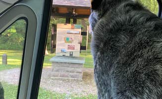 Shelly S.'s photo of camping with pets at Stone State Park Campground near Sioux City, IA