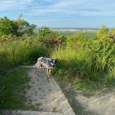 Review photo of Stone State Park Campground by Shelly S., November 6, 2020