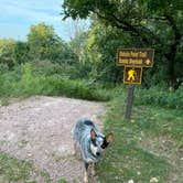 Review photo of Stone State Park Campground by Shelly S., November 6, 2020