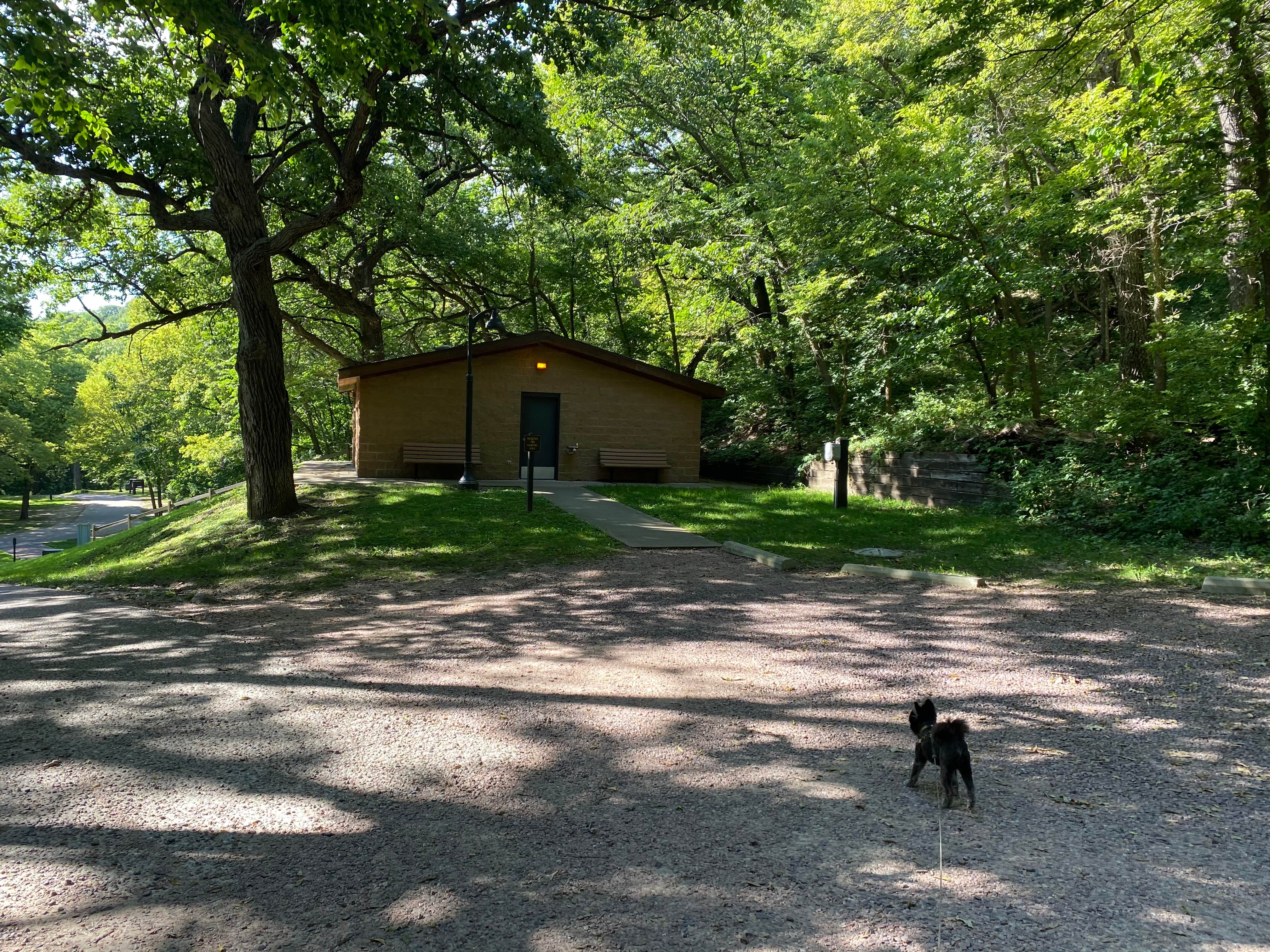 Shelly S.'s photo of camping with pets at Stone State Park Campground near Rock Valley, IA
