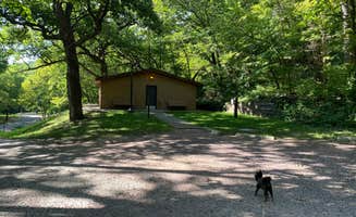 Shelly S.'s photo of camping with pets at Stone State Park Campground near Sioux City, IA