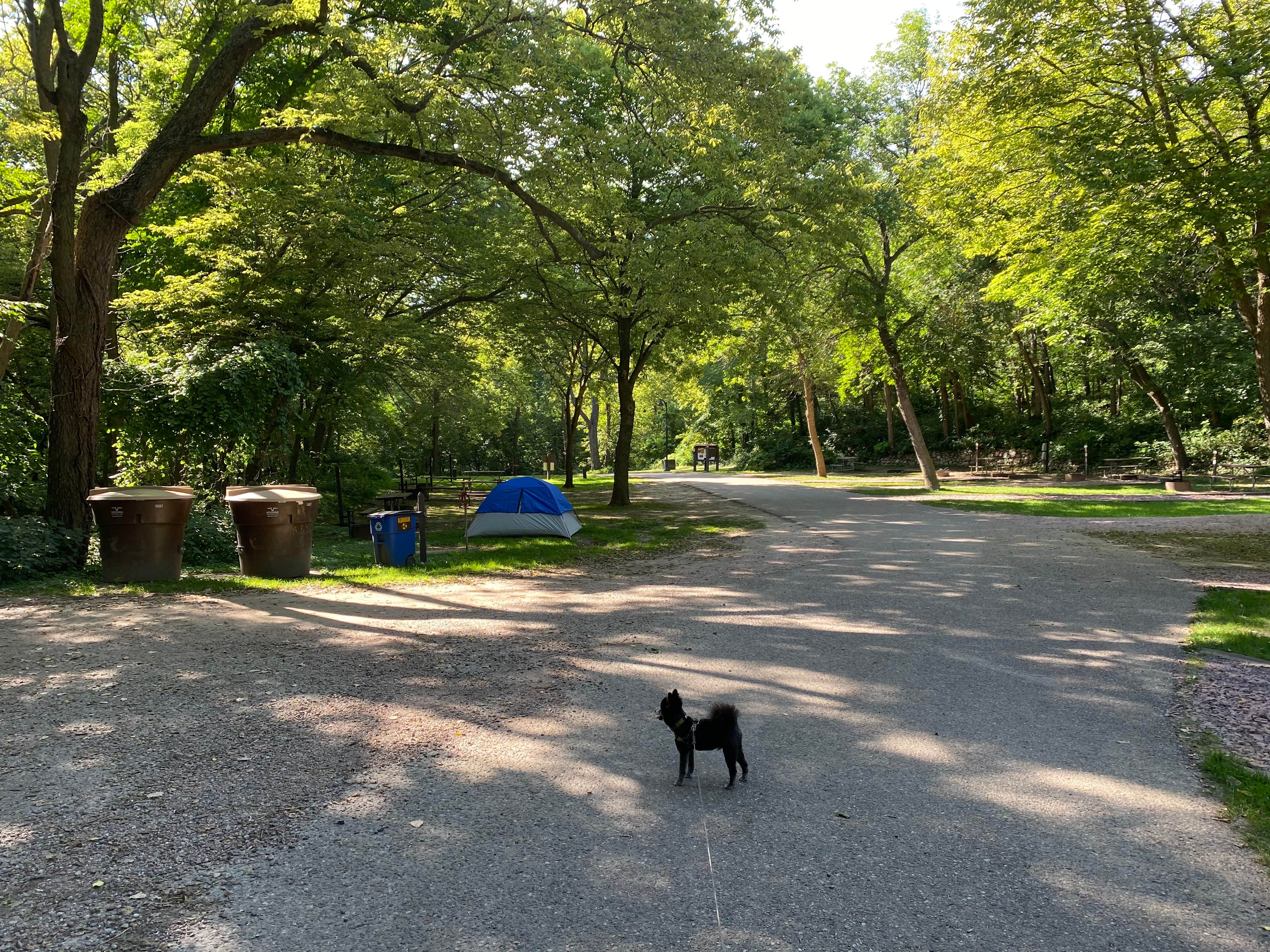 Shelly S.'s photo of camping with pets at Stone State Park Campground near Vermillion, SD