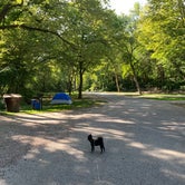 Review photo of Stone State Park Campground by Shelly S., November 6, 2020
