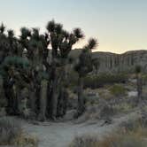 Review photo of Ricardo Campground — Red Rock Canyon State Park by Elaine V., November 6, 2020