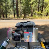 Review photo of Thompson Falls State Park Campground by Shelly S., November 6, 2020