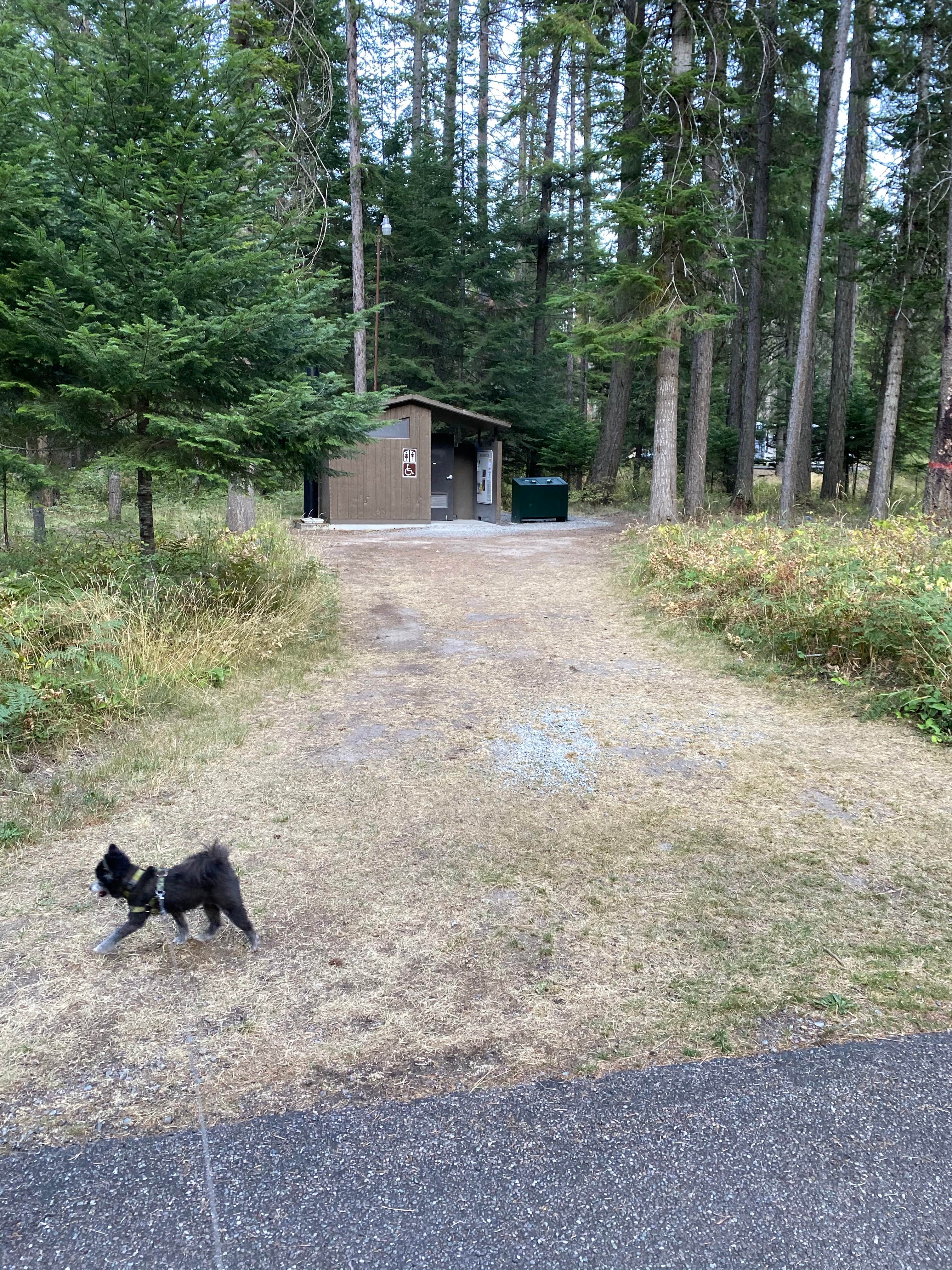 Shelly S.'s photo of camping with pets at Thompson Falls State Park Campground near Paradise, MT
