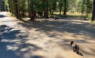 Shelly S.'s photo of camping with pets at Thompson Falls State Park Campground near Paradise, MT