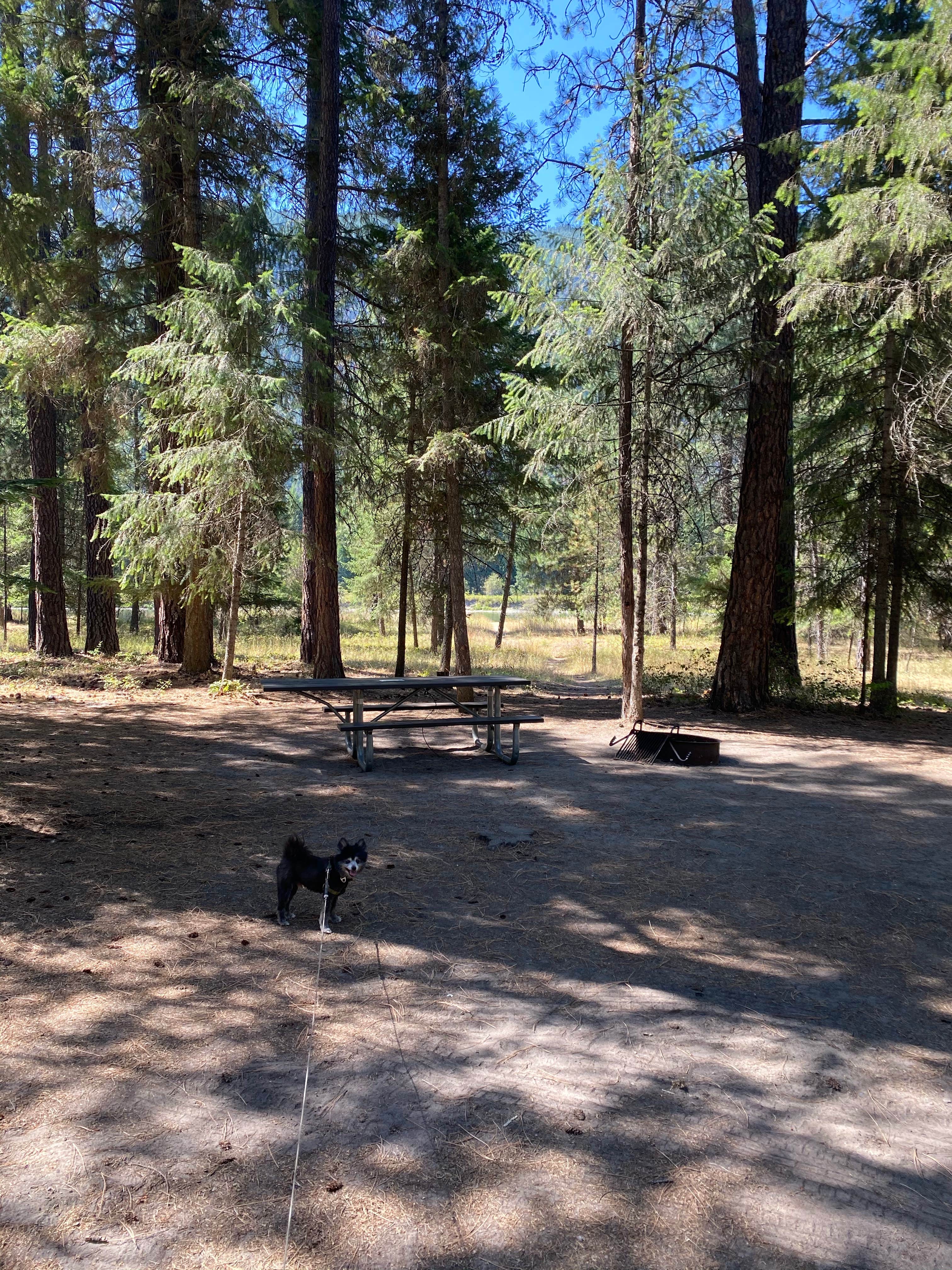 Camper-submitted photo at Thompson Falls State Park Campground near Saltese, MT