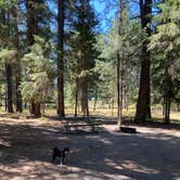 Review photo of Thompson Falls State Park Campground by Shelly S., November 6, 2020