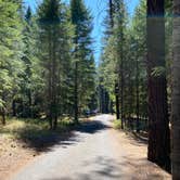 Review photo of Thompson Falls State Park Campground by Shelly S., November 6, 2020