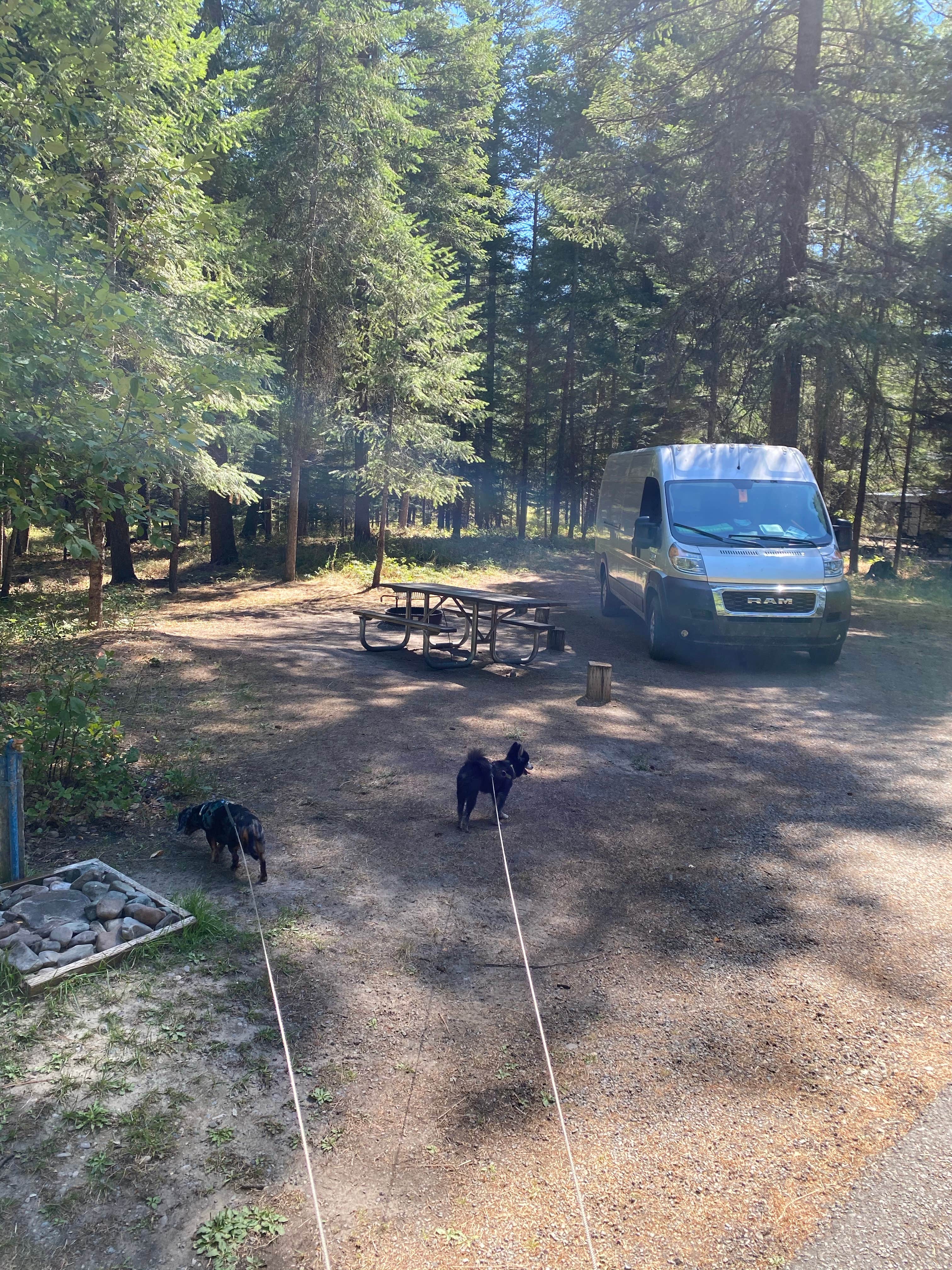 Shelly S.'s photo of camping with pets at Thompson Falls State Park Campground near Thompson Falls, MT