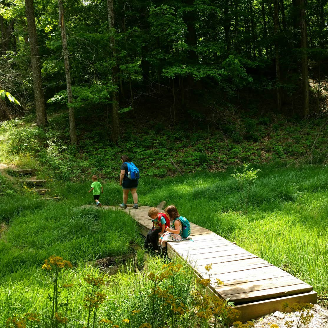 Cecil M Harden Lake Raccoon State Recreation Area Camping The Dyrt