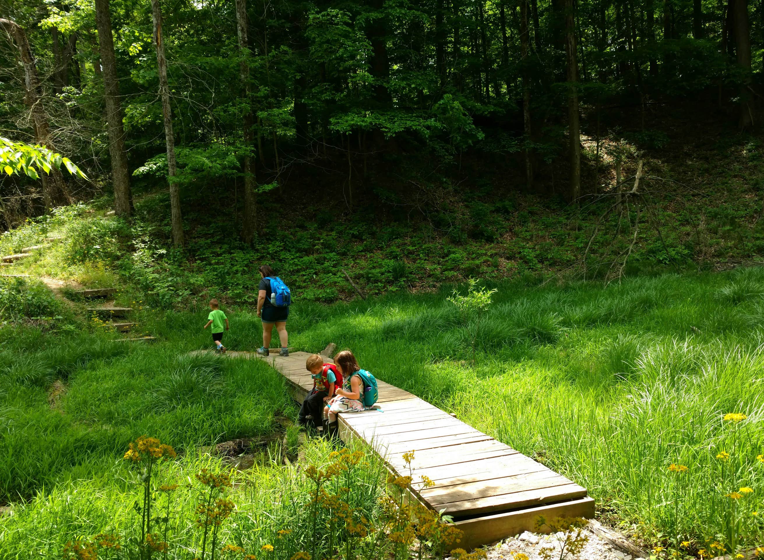Raccoon Lake Campground - xdbjfw1